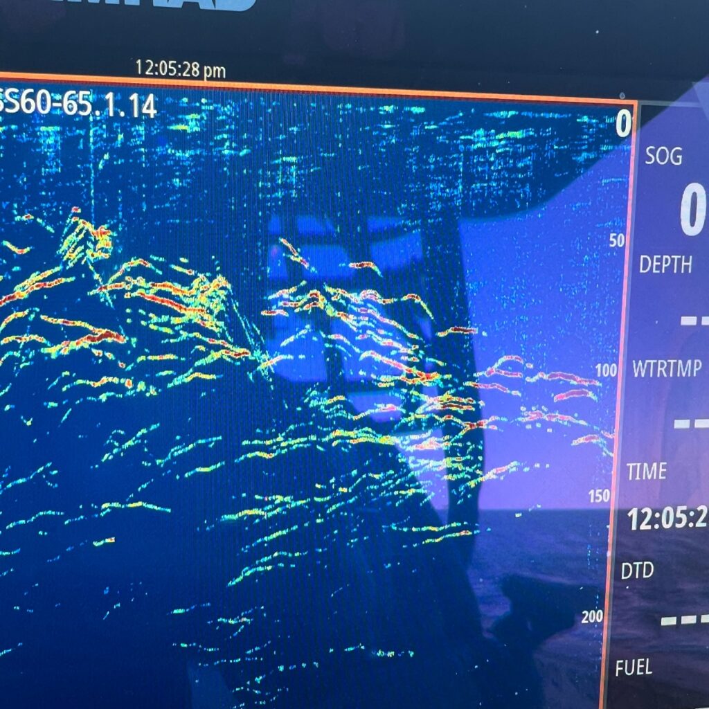 Instagram post from tripletail_charters. This post is in position 1.