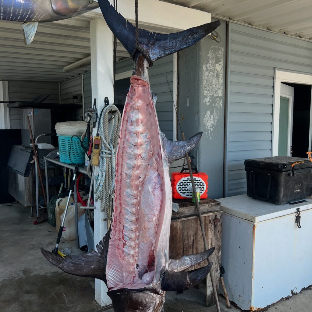 Instagram post from tripletail_charters. This post is in position 1.
