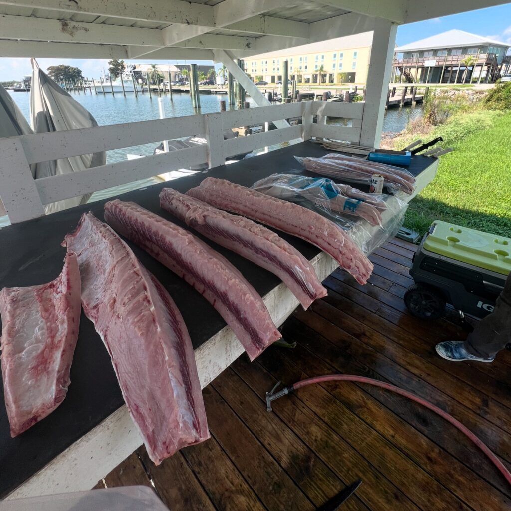 Instagram post from tripletail_charters. This post is in position 3.