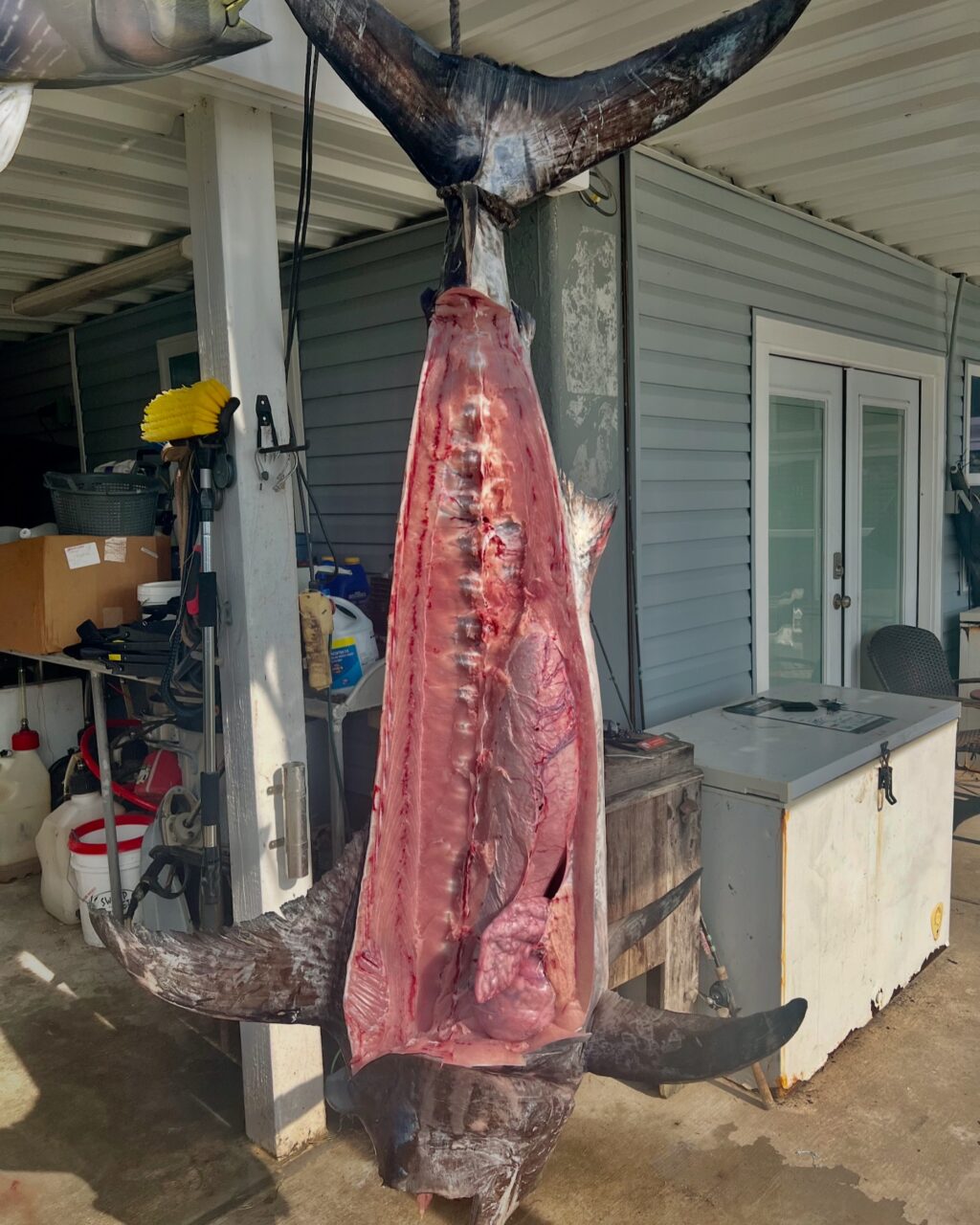 Instagram post from tripletail_charters. This post is in position 1.